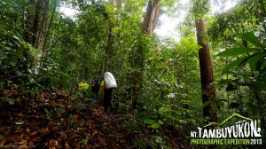 Mount Tambuyukon Expedition  